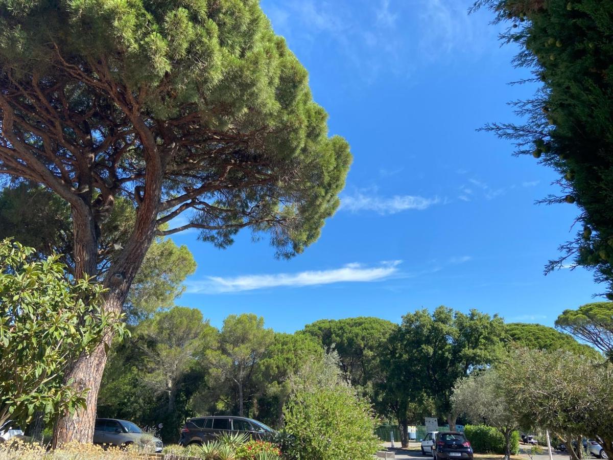 Domaine Valescure Appartement 1 Ou 2 Pieces Vue Jardin Ou Piscine Saint-Raphael  Bagian luar foto