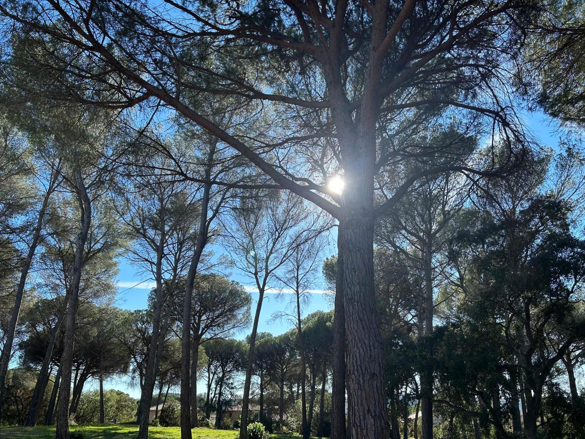 Domaine Valescure Appartement 1 Ou 2 Pieces Vue Jardin Ou Piscine Saint-Raphael  Bagian luar foto